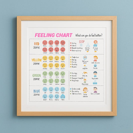 Feelings Thermometer Kit